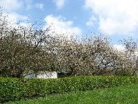 Heiligenwald