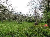 Heiligenwald
