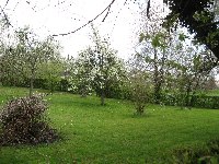 Heiligenwald