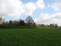 Heiligenwald