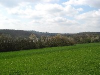 Heiligenwald